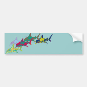 Sharks Bumper Sticker