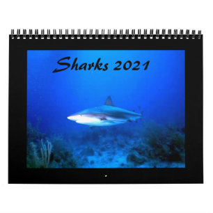 Sharks Calendar 2021