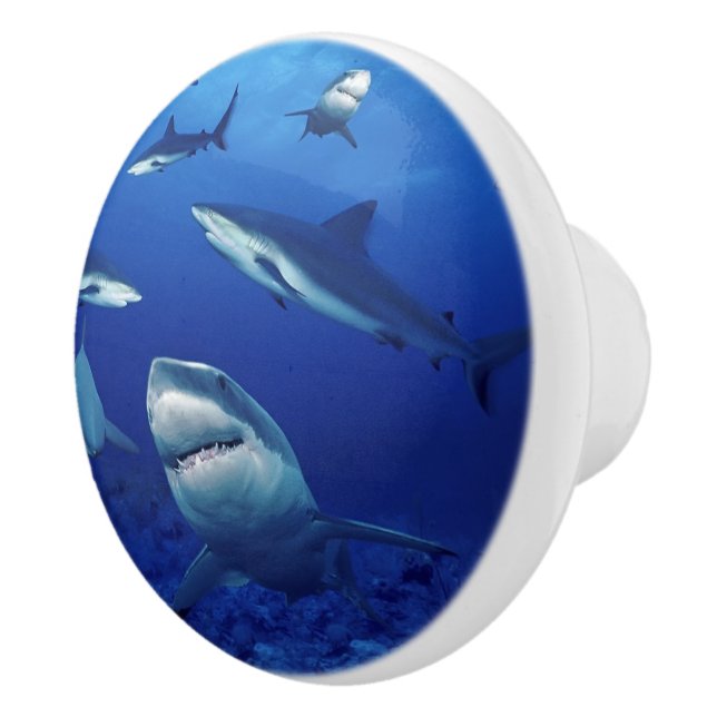 Sharks Ceramic Cabinet Knob (Right)