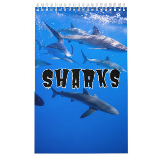 Sharks Collection Showcase Wall Calendar