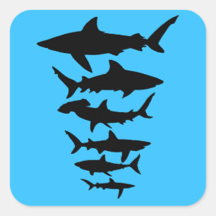 Sharks Colour Silhouette Outline Graphic Design Square Sticker