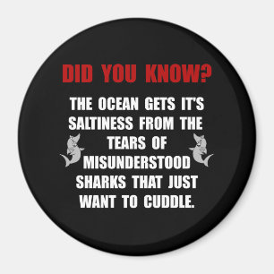 Sharks Cuddle Magnet