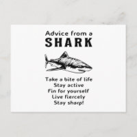 Sharks Fish Sea Shark Fin Cool Ocean Funny Gift
