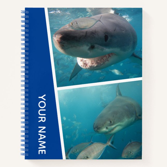 Sharks of Australia Underwater Photo Collage, Blue Notebook (Front)