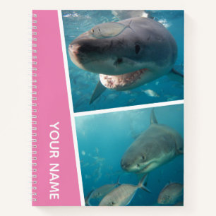Sharks of Australia Underwater Photo Collage, Pink Notebook
