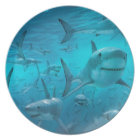 Sharks