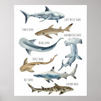 Sharks