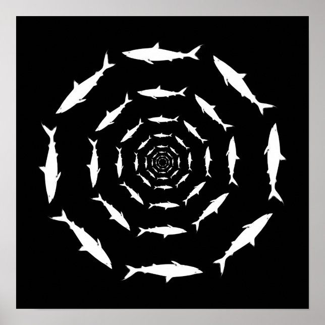 sharks swimming in circles poster (Front)