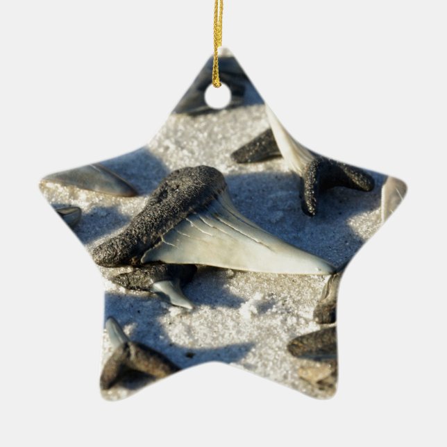 Sharks Teeth from Jax Beach Ceramic Tree Decoration (Front)