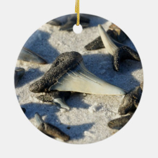 Sharks Tooth Circle Ornament