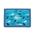 sharks!