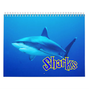 Sharks Wall Calendar