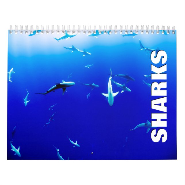 Sharks Wall Calendar (Cover)