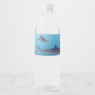 Sharks Water Bottle Label
