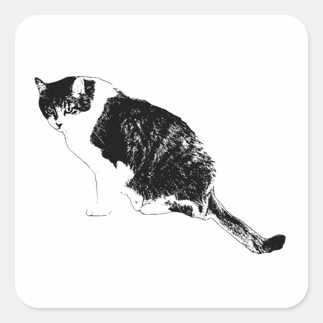 Sharp Cat Line Sticker Adds Attitude Anywhere (Front)