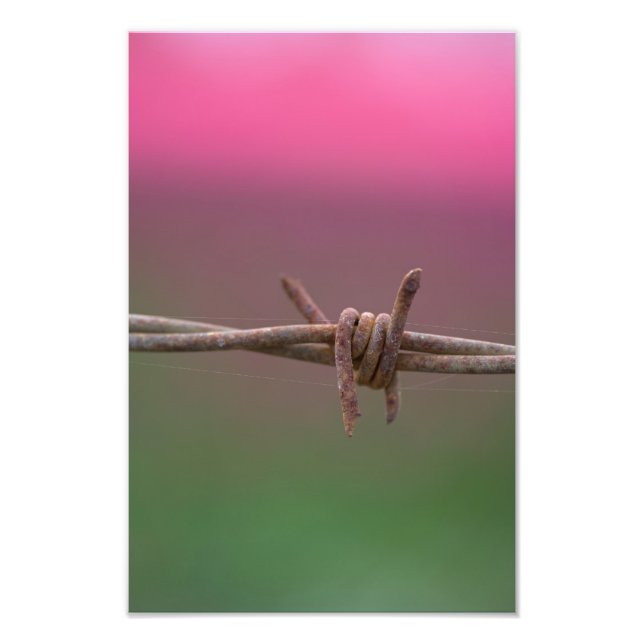 Sharp Colours. Photo Print (Front)