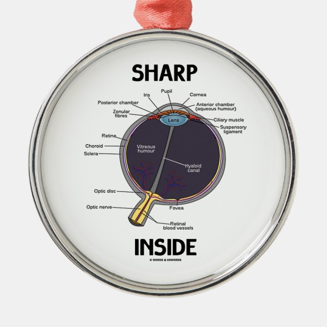 Sharp Eye (I) Inside (Anatomical Eyeball) Metal Tree Decoration (Front)