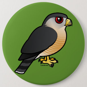 Sharp-shinned Hawk 6 Cm Round Badge