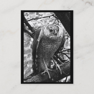 Sharp-Shinned Hawk ATC Business Card