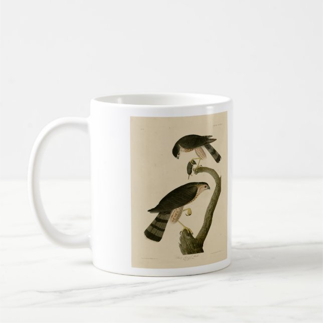 Sharp-shinned Hawk from Audubon's Birds of America Coffee Mug (Left)