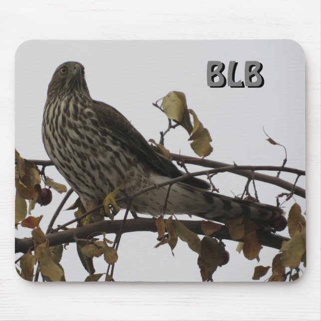 Sharp Shinned Hawk in Tree Your Initials Mouse Pad (Front)