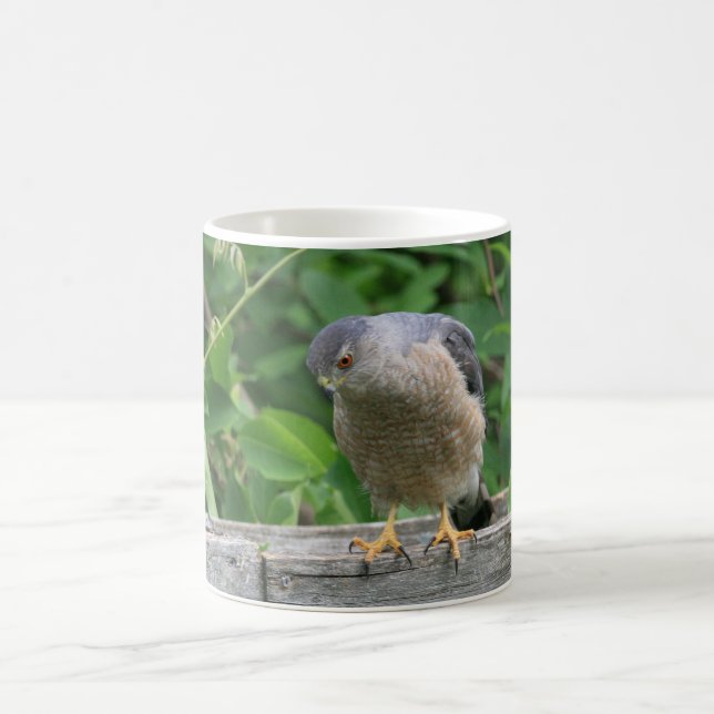 Sharp Shinned Hawk Watching Your Garden Coffee Mug (Center)