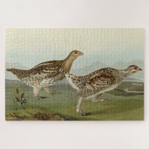 Sharp-tailed Grouse - Audubon's Birds of America Jigsaw Puzzle