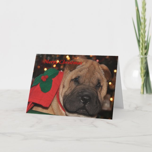 Sharpei Christmas Card (Front)