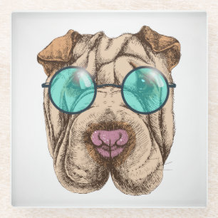 Sharpei In Sunglasses Glass Coaster