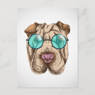 Sharpei In Sunglasses Postcard