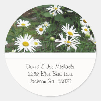 Shasta Daisies Address Stickers