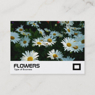 Shasta Daisies Business Card
