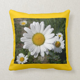 Shasta Daisies (Chrysanthemum maximum) Cushion
