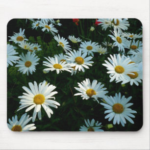 Shasta Daisies II Mouse Pad