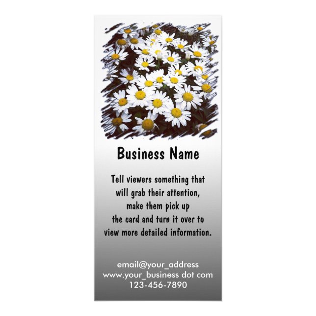 Shasta Daisies Photograph Rack Card (Front)