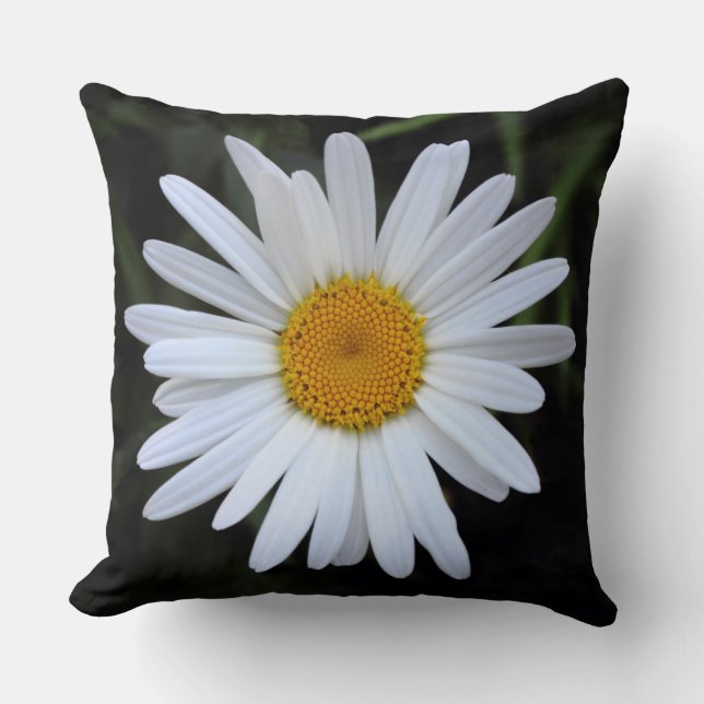 Shasta Daisy 01 Cushion (Front)