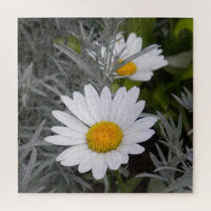 Shasta Daisy Flowers and Artemisia Jigsaw Puzzle
