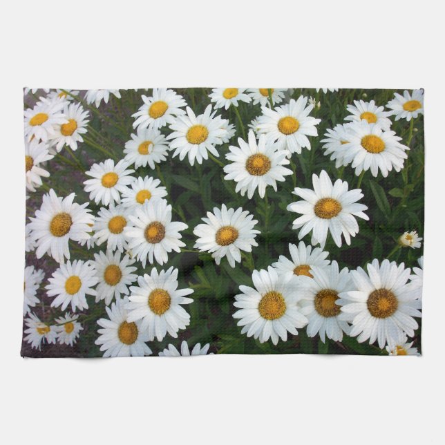 Shasta Daisy Kitchen Towel (Horizontal)