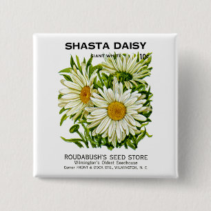 Shasta Daisy Vintage Seed Packet 15 Cm Square Badge