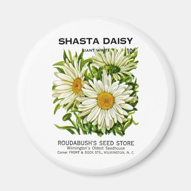 Shasta Daisy Vintage Seed Packet Magnet (Front)