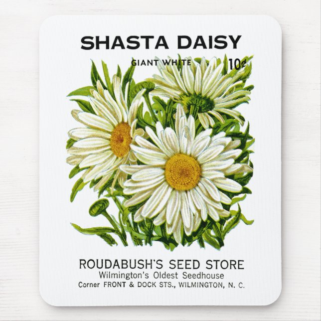 Shasta Daisy Vintage Seed Packet Mouse Pad (Front)