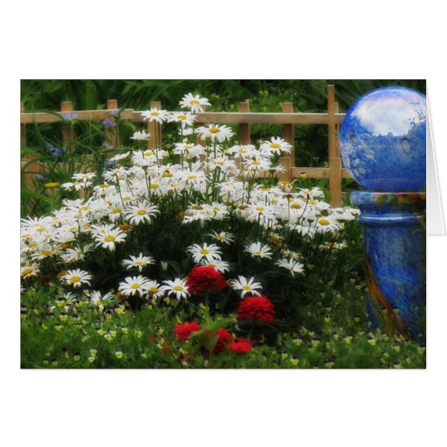 Shasta Garden - Daisies (Front Horizontal)
