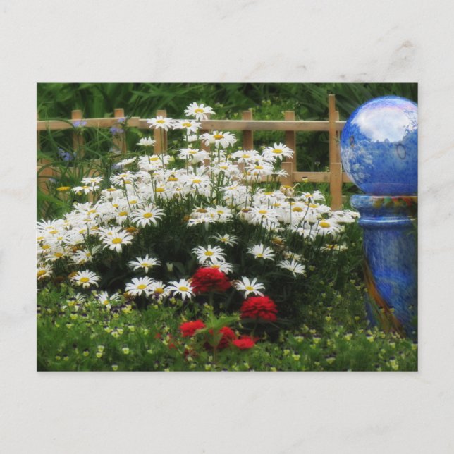 Shasta Garden Postcard (Front)