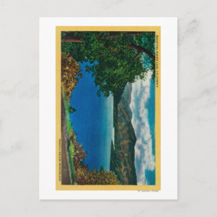 Shasta Lake ViewShasta, CA Postcard