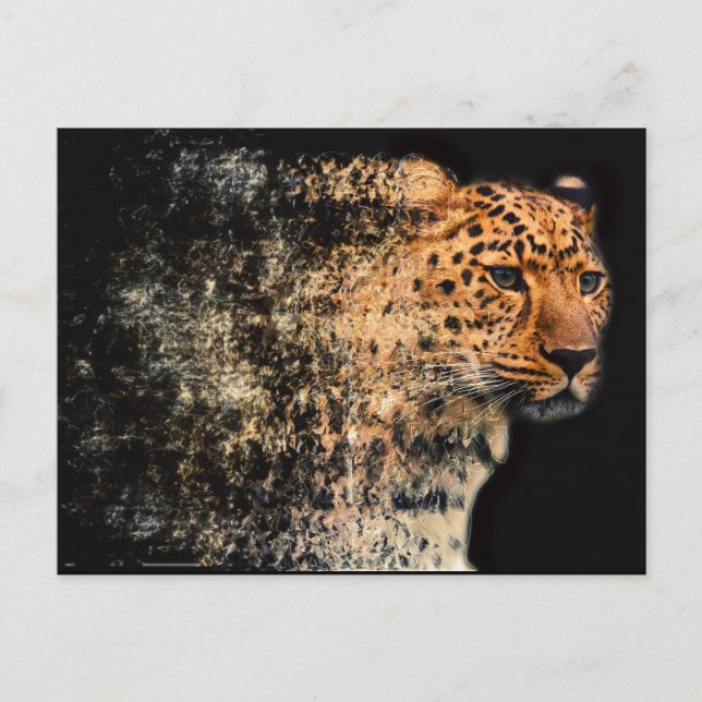 Shattered Leopard Postcard (Front)