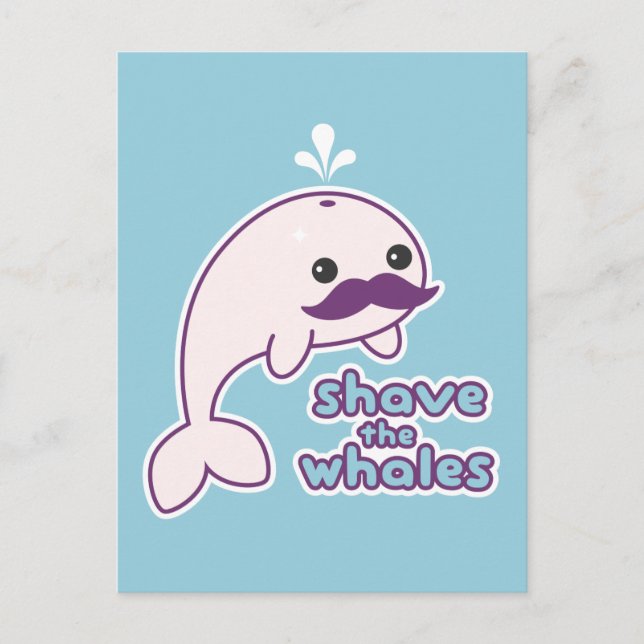 Shave the Whales Postcard (Front)