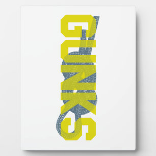 Shawagunks Climbing Plaque