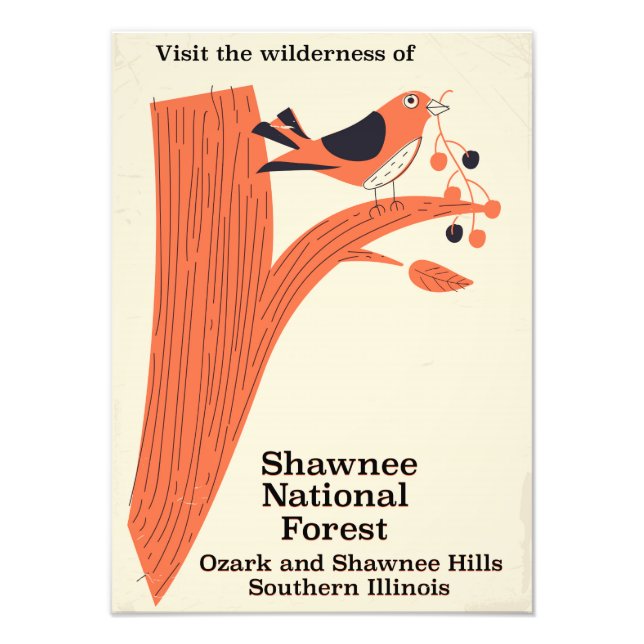 Shawnee National Forest Illinois vintage poster (Front)
