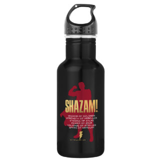 SHAZAM! Fury of the Gods | Flexing Silhouette 532 Ml Water Bottle
