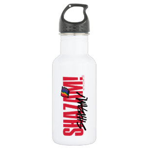 SHAZAM! Fury of the Gods Rainbow Bolts Logo 532 Ml Water Bottle